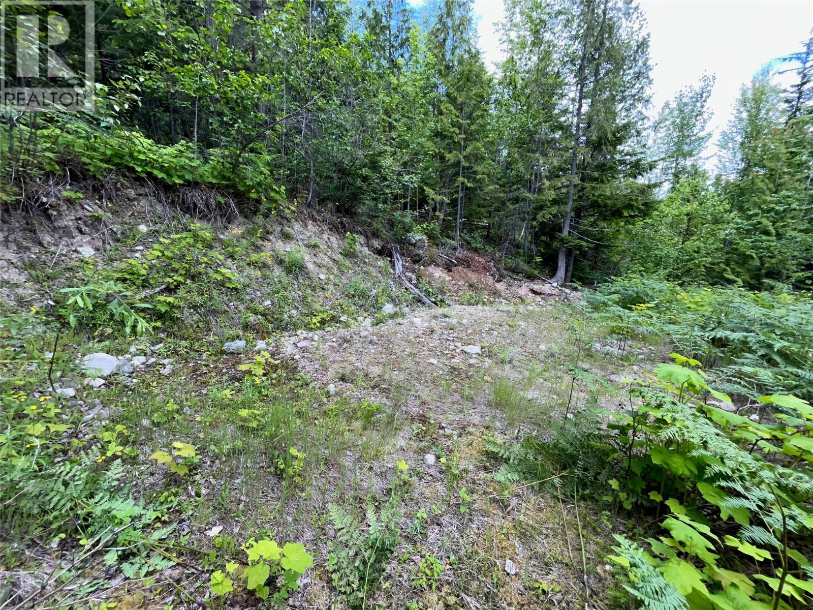 20-9000 Seymour Main Lot# 20 - 5