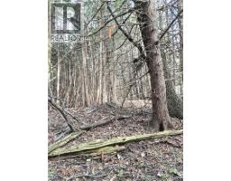 5618 5th Line, Palmerston, ON N0G2P0 Photo 16