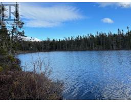 Red Point Road, Red Point, NS B2C1G4 Photo 21