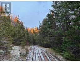 Red Point Road, Red Point, NS B2C1G4 Photo 17