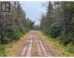 Red Point Road, Red Point, NS B2C1G4 Photo 8