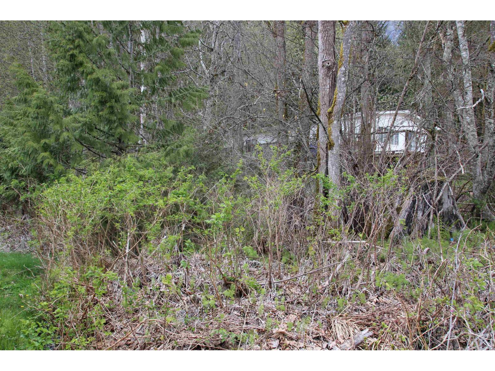 Vacant Land for Sale in Hope – 66555 KERELUK ROAD, Kawkawa Lake, Hope - Image 3