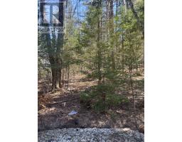0 Kirkpatrick Lane, Bracebridge, ON P1L1X3 Photo 11