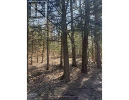 0 Kirkpatrick Lane, Bracebridge, ON P1L1X3 Photo 13