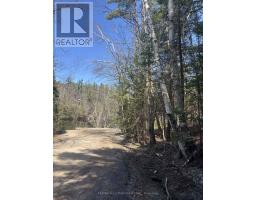 0 Kirkpatrick Lane, Bracebridge, ON P1L1X3 Photo 14