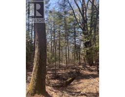 0 Kirkpatrick Lane, Bracebridge, ON P1L1X3 Photo 6