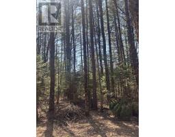 0 Kirkpatrick Lane, Bracebridge, ON P1L1X3 Photo 7