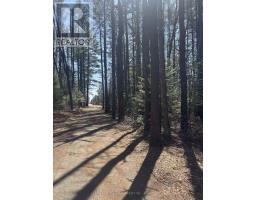 0 Kirkpatrick Lane, Bracebridge, ON P1L1X3 Photo 8