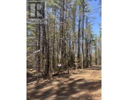 0 Kirkpatrick Lane, Bracebridge, ON P1L1X3 Photo 9