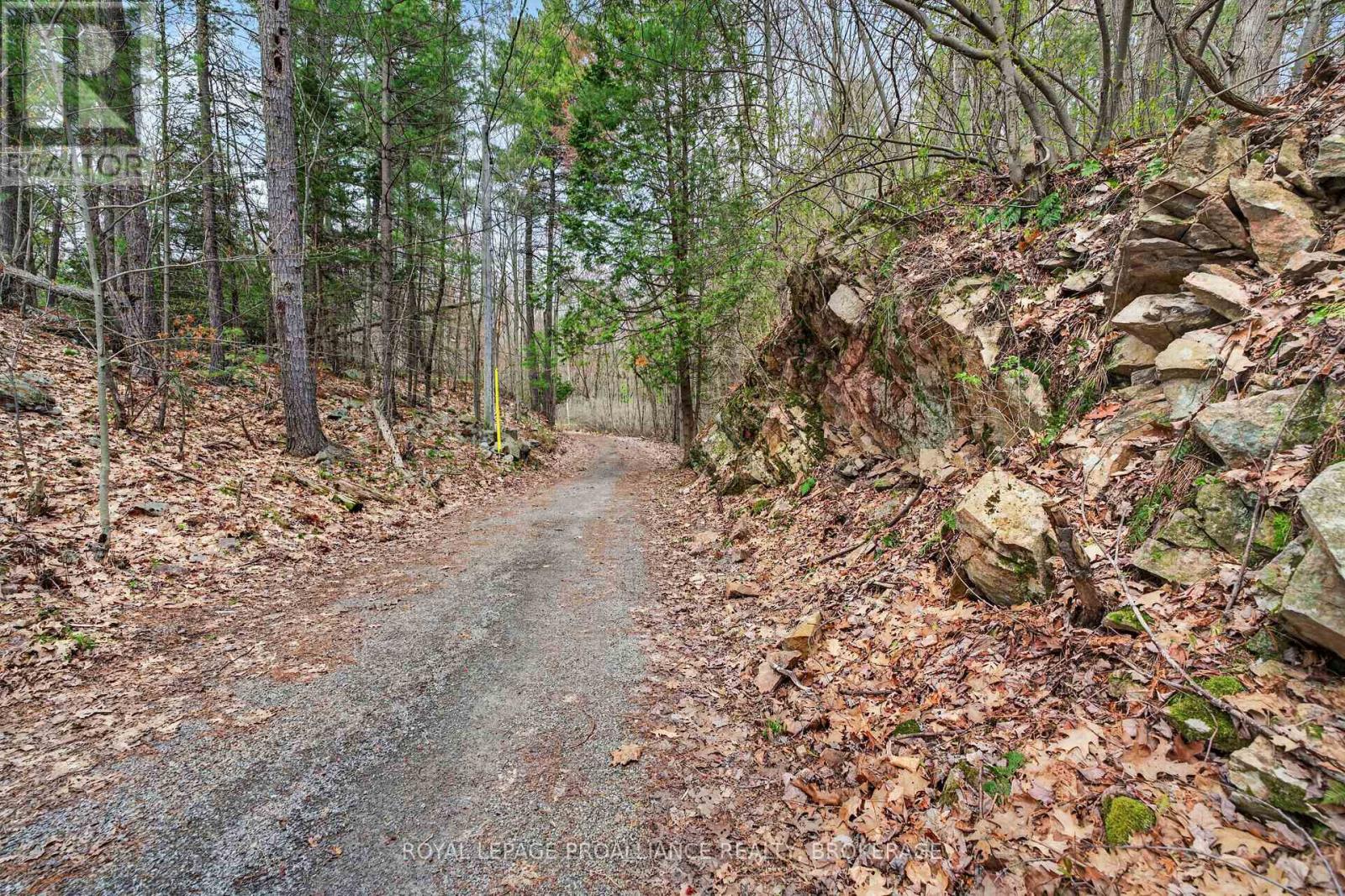 224 FOLLY ROAD - 48