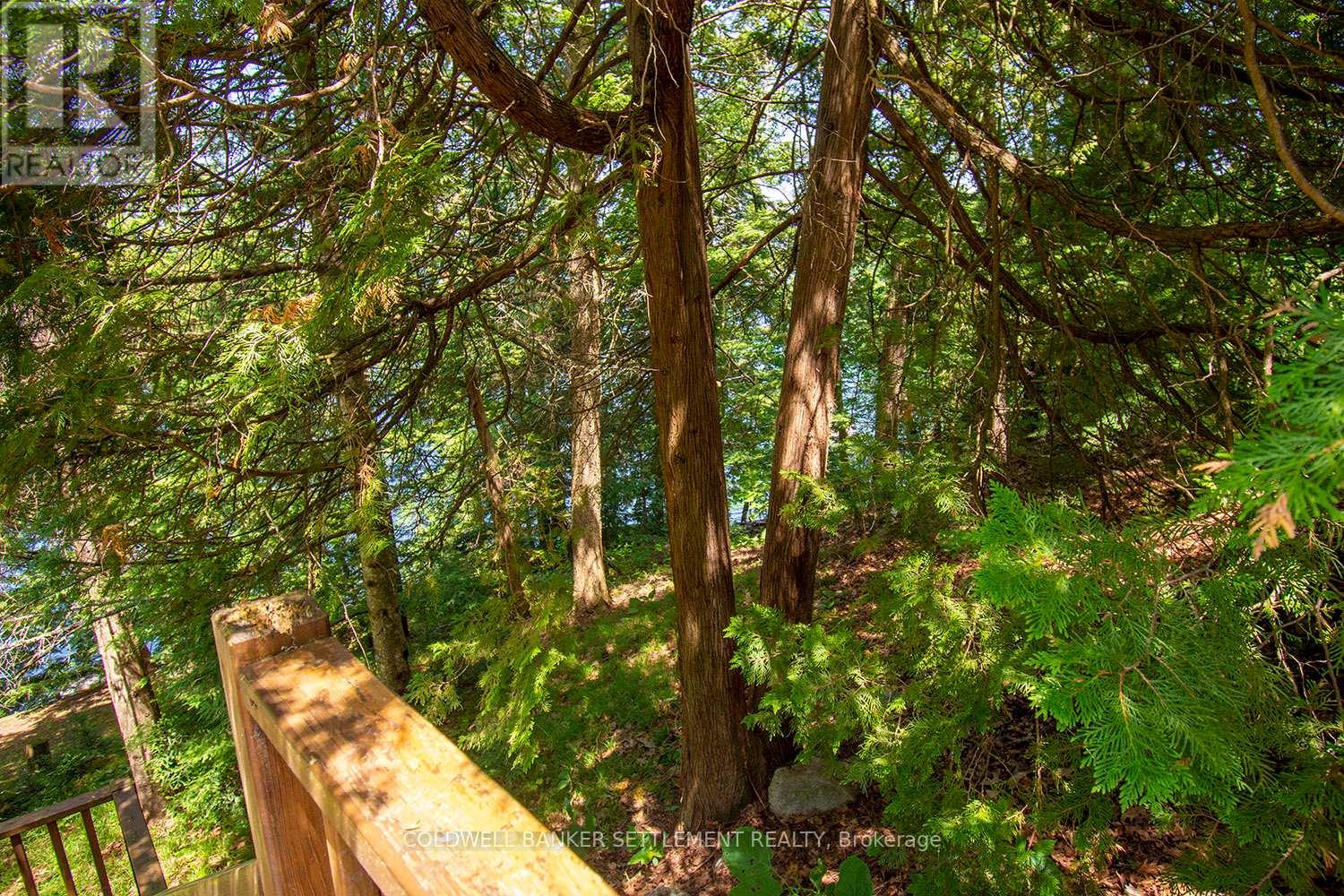 1136C NORTHVIEW LANE - 42