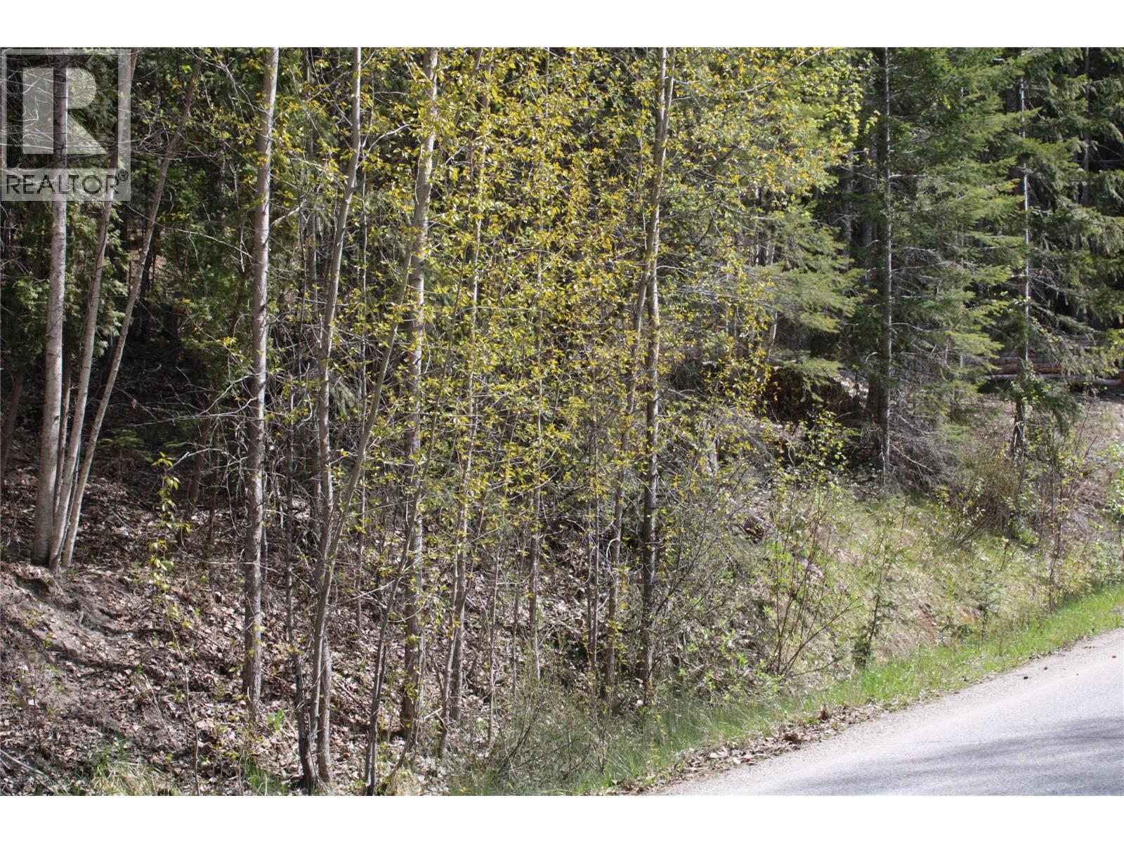 Lot 2 Vickers Trail - photo 2