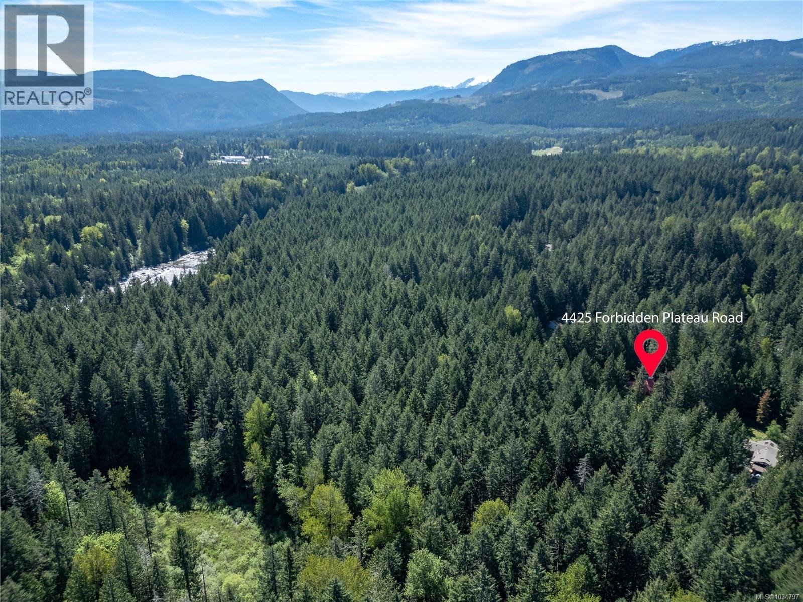 4425 Forbidden Plateau Rd - 86
