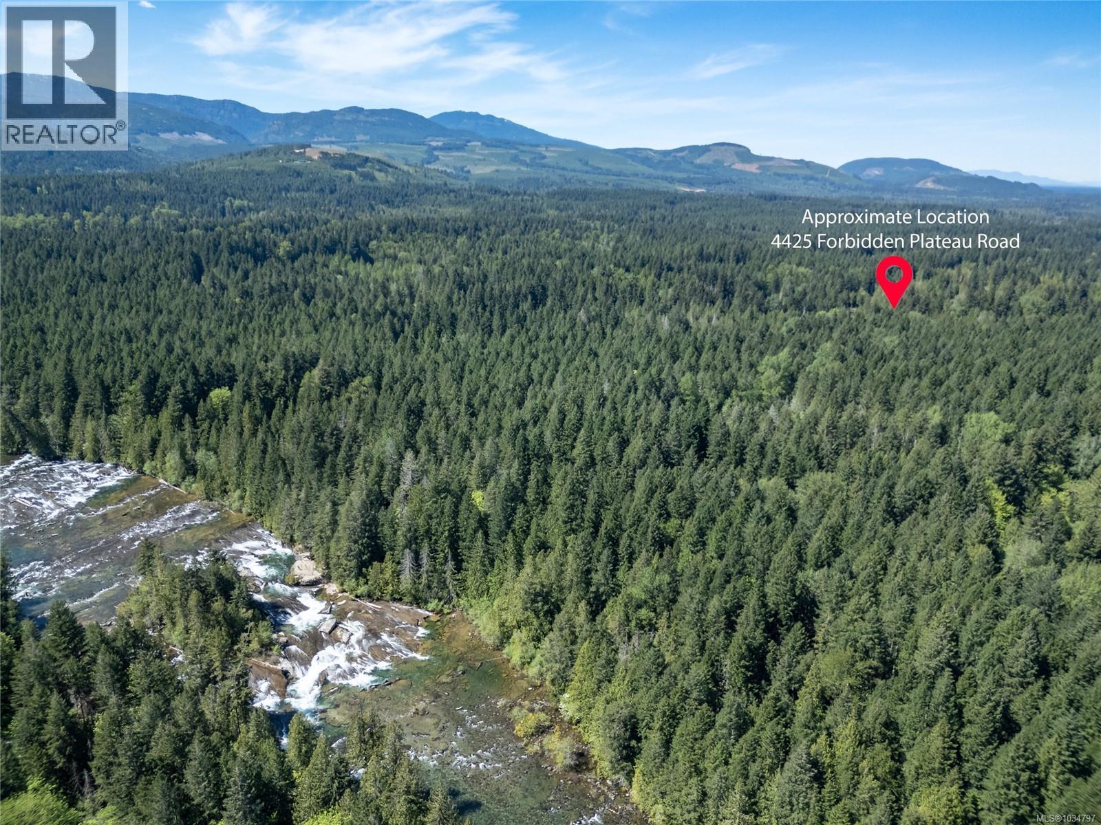4425 Forbidden Plateau Rd - 92