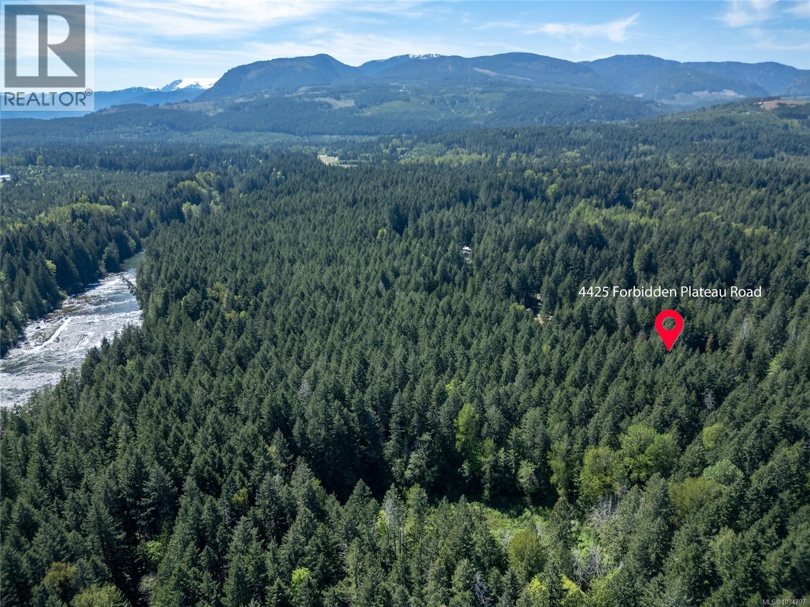 4425 Forbidden Plateau Rd - 87