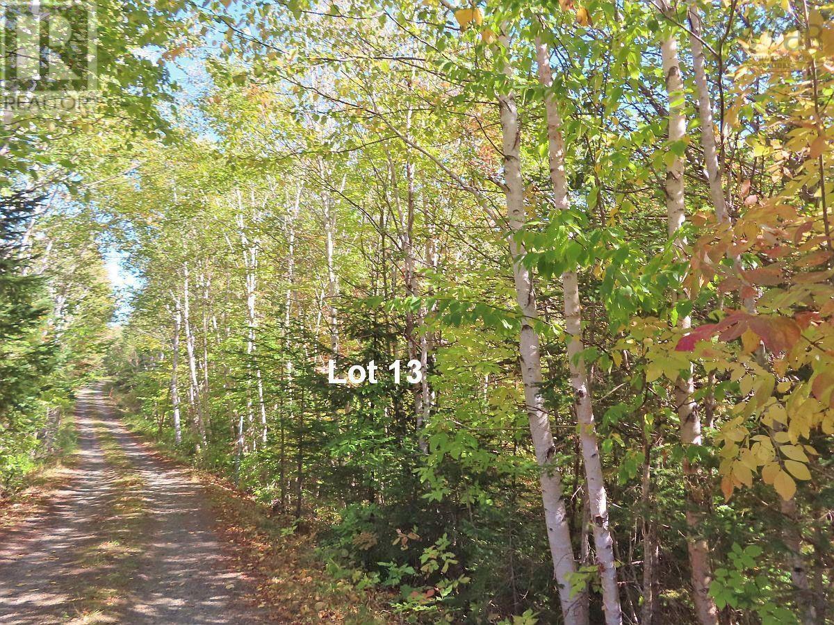 Property 3 of 26 of Lot 13 Belle View Lane