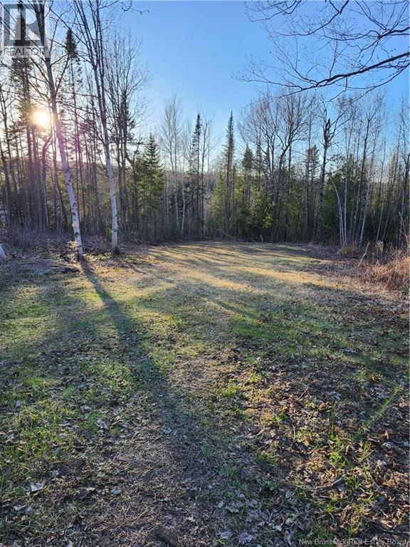 Lot 88-72 Willow Street