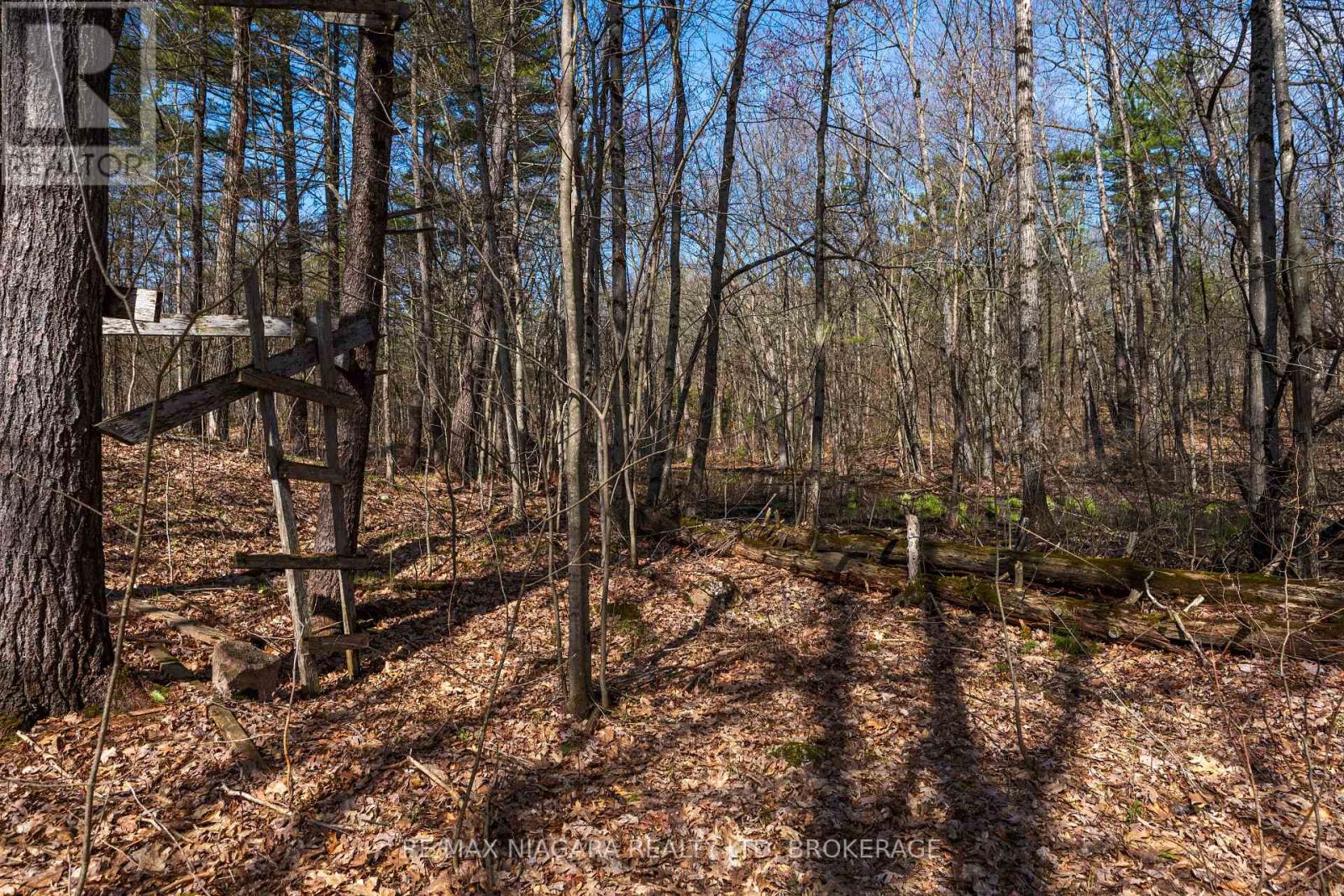 127 Oak Shores Lane — photo 19