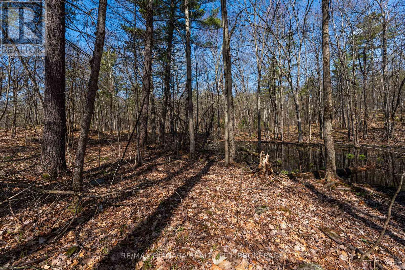 127 Oak Shores Lane — photo 21