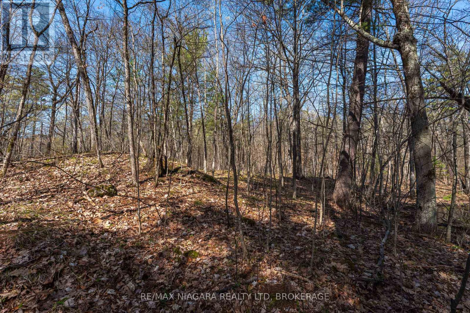 127 Oak Shores Lane — photo 22