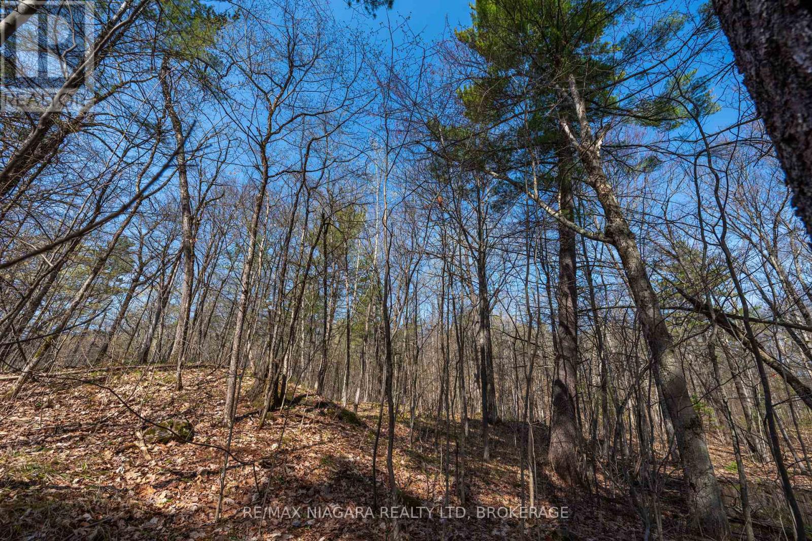 127 Oak Shores Lane — photo 23