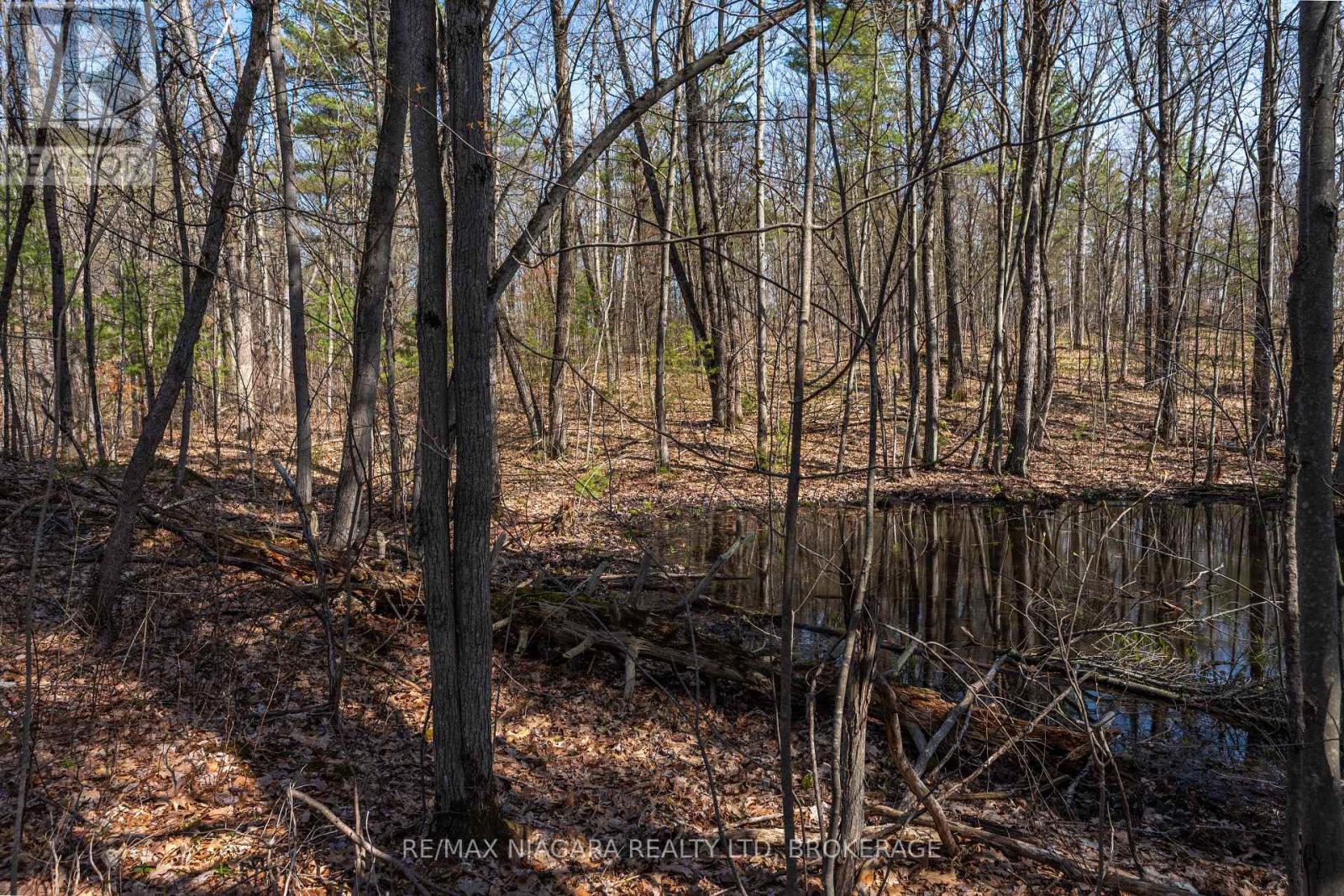 127 Oak Shores Lane — photo 24