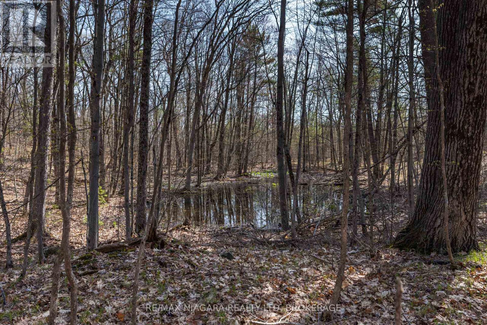 127 Oak Shores Lane — photo 25