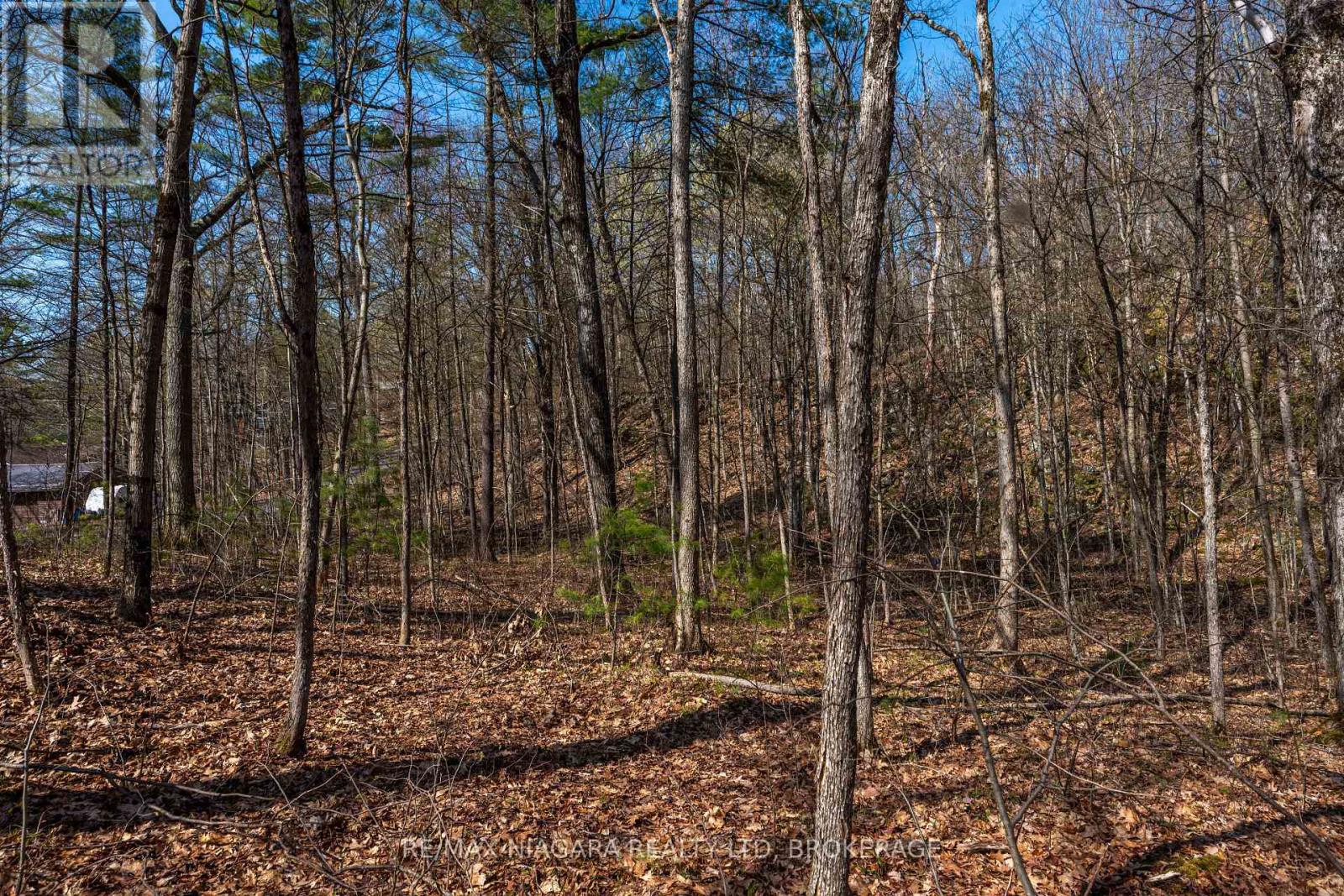 127 Oak Shores Lane — photo 27