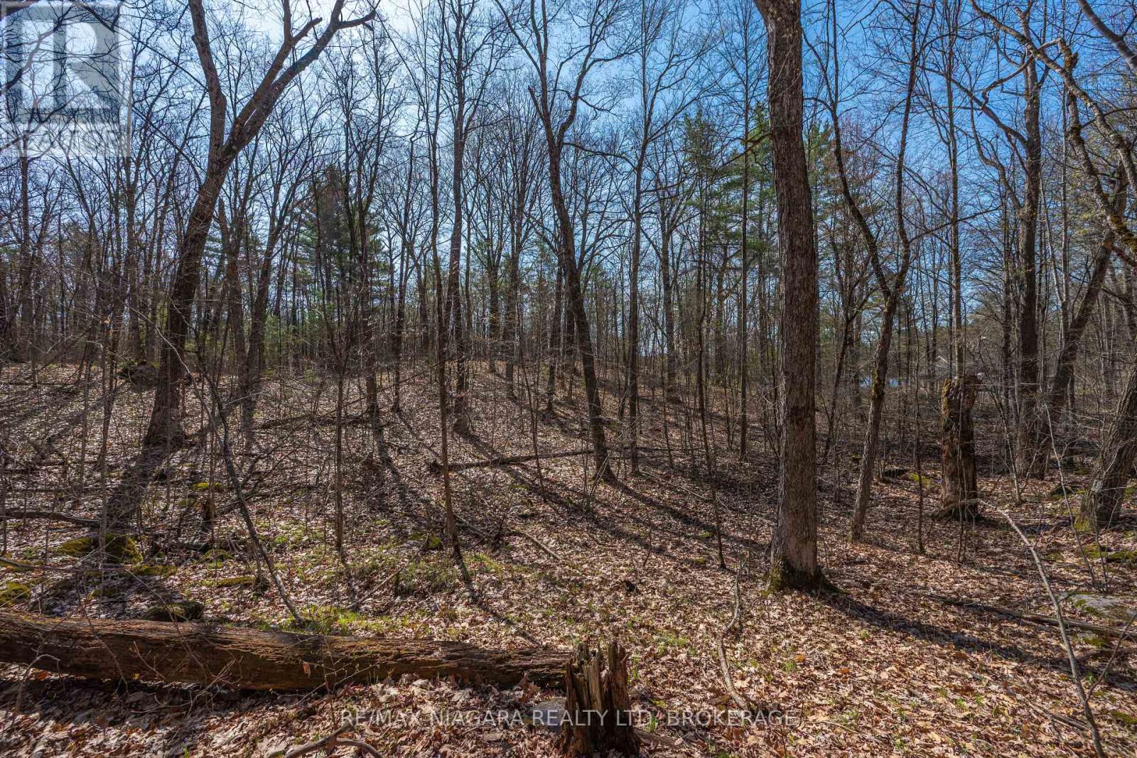 127 Oak Shores Lane — photo 30
