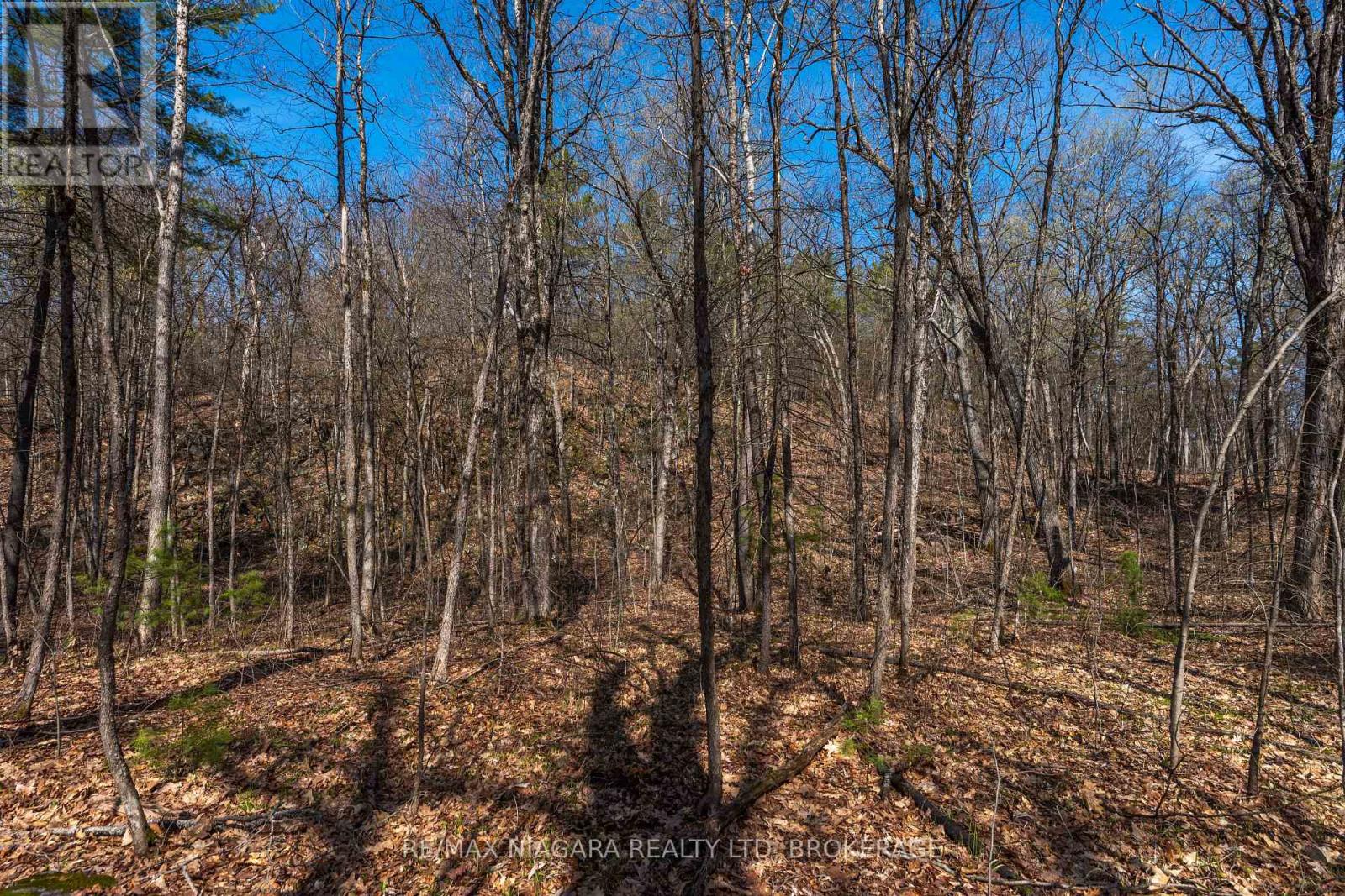127 Oak Shores Lane — photo 31