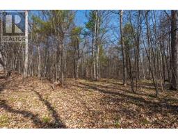 127 Oak Shores Lane, Frontenac, ON K0H2V0 Photo 16