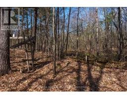 127 Oak Shores Lane, Frontenac, ON K0H2V0 Photo 19