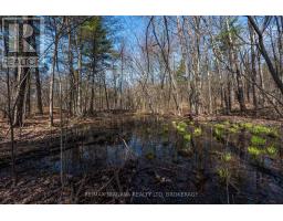 127 Oak Shores Lane, Frontenac, ON K0H2V0 Photo 20