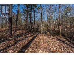 127 Oak Shores Lane, Frontenac, ON K0H2V0 Photo 21