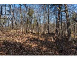 127 Oak Shores Lane, Frontenac, ON K0H2V0 Photo 22
