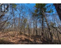 127 Oak Shores Lane, Frontenac, ON K0H2V0 Photo 23