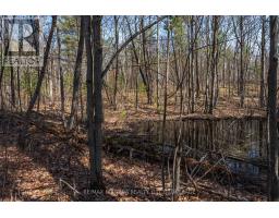 127 Oak Shores Lane, Frontenac, ON K0H2V0 Photo 24