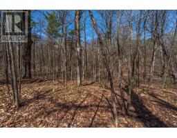 127 Oak Shores Lane, Frontenac, ON K0H2V0 Photo 26
