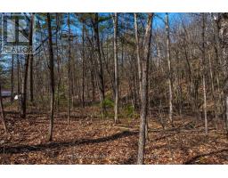 127 Oak Shores Lane, Frontenac, ON K0H2V0 Photo 27