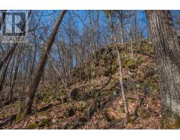 127 Oak Shores Lane, Frontenac, ON K0H2V0 Photo 28