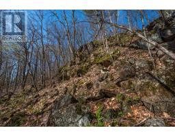 127 Oak Shores Lane, Frontenac, ON K0H2V0 Photo 29