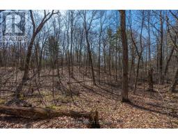 127 Oak Shores Lane, Frontenac, ON K0H2V0 Photo 30
