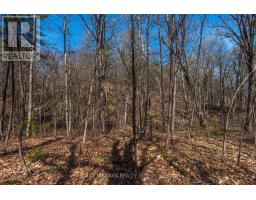 127 Oak Shores Lane, Frontenac, ON K0H2V0 Photo 31