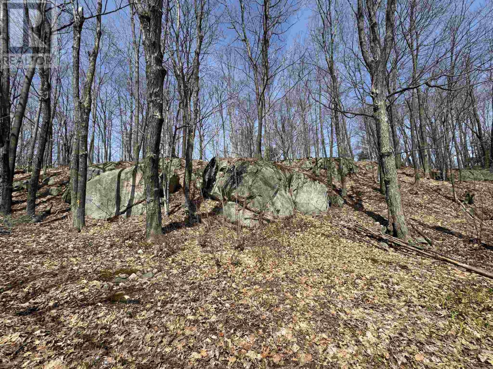44 Axmith AVE - 38
