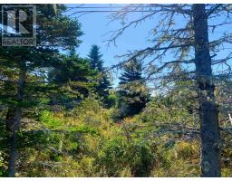 Lot, Overton Road, South Chegoggin, NS B5A5G8 Photo 7