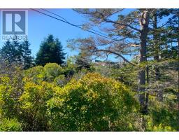 Lot, Overton Road, South Chegoggin, NS B5A5G8 Photo 8