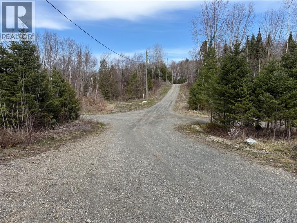 15833 Undine Road - 3