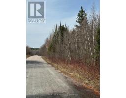 164 Riding Stable Road, West Nipissing, ON P2B8G5 Photo 14