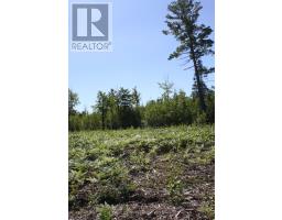 164 Riding Stable Road, West Nipissing, ON P2B8G5 Photo 6