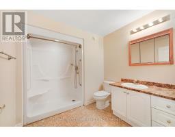 3583 Carman Road, South Dundas, ON K0E1C0 Photo 39
